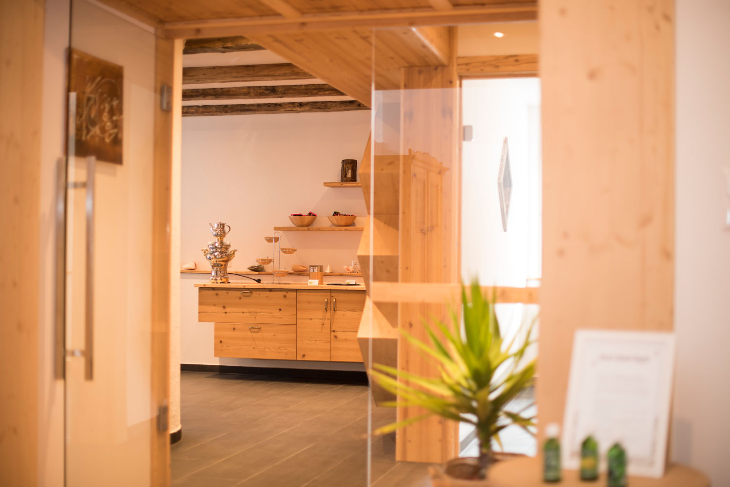 06-16 -®FRANZGERDL HO-M+Âlltalerhof Sauna_6603